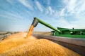 25 de milioane de tone de cereale, blocate în Ucraina din cauza războiului
