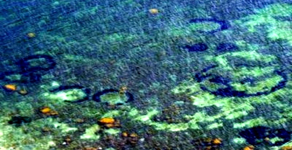 Descoperire bizară: ce sunt aceste stranii „cercuri ale zânelor” din lumea submarină?