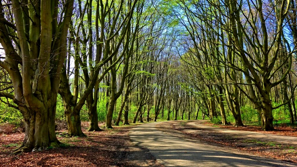 Temperaturi oscilante în următoarele săptămâni. Ce arată prognoza anunțată de ANM?