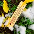 Cât mai ține gerul? Prognoza meteo actualizată!