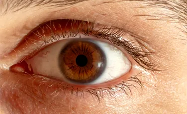 90% dintre pierderile de vedere pot fi prevenite. Ce depinde de noi și ce ține de vârstă?