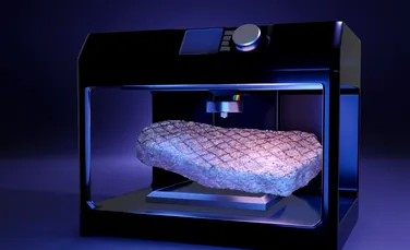 Doi antreprenori au inventat friptura printată 3D