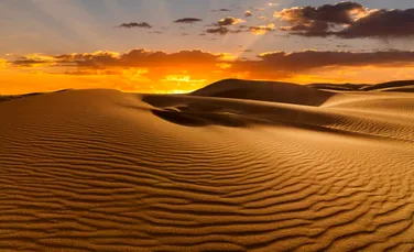 Cum ar putea fi folosit nisipul din deșert pentru construirea caselor și a drumurilor?