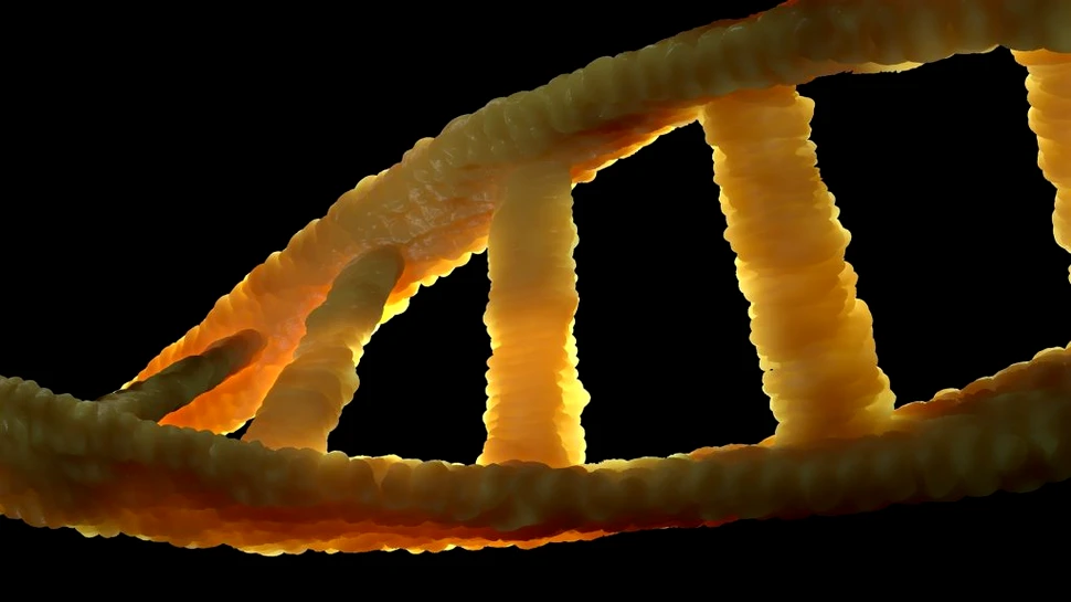 Un algoritm nou este capabil să genereze codul genetic uman