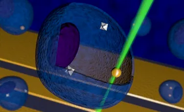 Reuşită tehnologică extraordinară: termometrul de nanodiamant poate lua temperatura din interiorul unei celule vii!