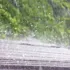 Cum ar putea fi apa de ploaie o armă secretă în lupta cu temperaturile extreme?