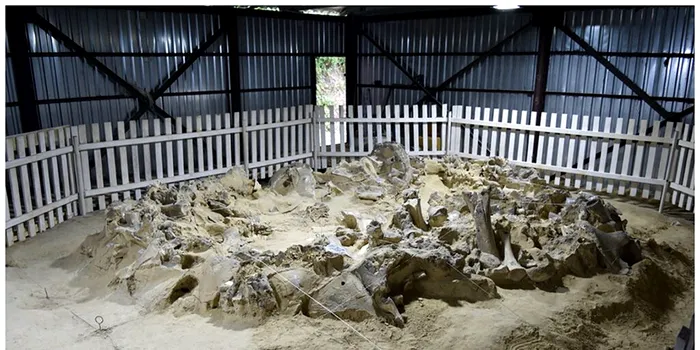 La apogeul erei glaciare, oamenii au construit adăposturi din oase de mamut