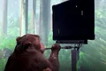 Neuralink a dezvăluit o filmare care arată o maimuță cu cip în creier în timp ce joacă jocuri video