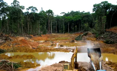 Copii folosiți ca „scuturi umane” în pădurea amazoniană din Peru