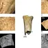 Premieră în România: Au fost descoperite primele dovezi ale utilizării uneltelor din os de către neandertalieni