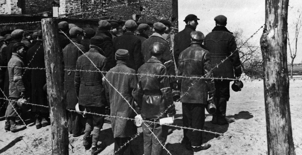Cum a fost eradicat tifosul în ghetoul din Varșovia, cel mai mare creat de Germania Nazistă