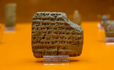 Cine a inventat alfabetul? Drumul literelor de la hieroglifele egiptene la alfabetul latin
