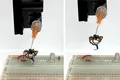 Păianjenul necro-robot creat de cercetători pare scos din filmele de groază