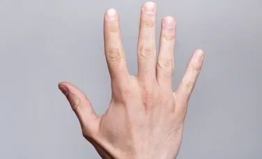 Ce spun degetele despre noi? Dimensiunea lor poate indica preferinţele sexuale