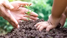De ce este important să ne gândim la moștenirea pe care o lăsăm în urmă