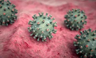Două țări din Africa raportează focare de virus Marburg