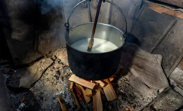 Cercetătorii au descoperit cea mai veche utilizare a laptelui de către fermierii preistorici din Europa