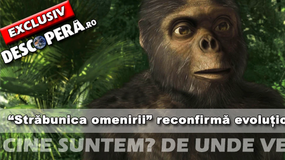 Povestea evolutionismului este reconfirmata de Ardi!