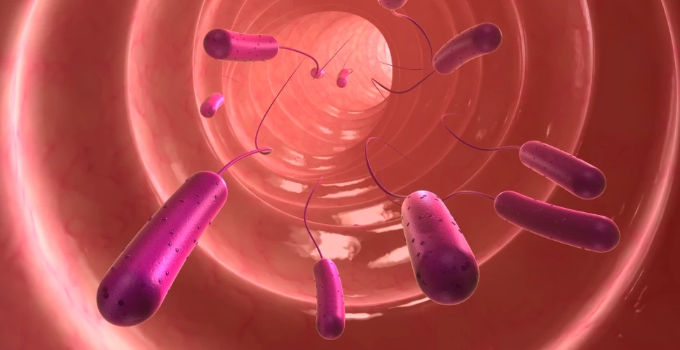 Medicina bacteriană ar putea vindeca boli azi incurabile