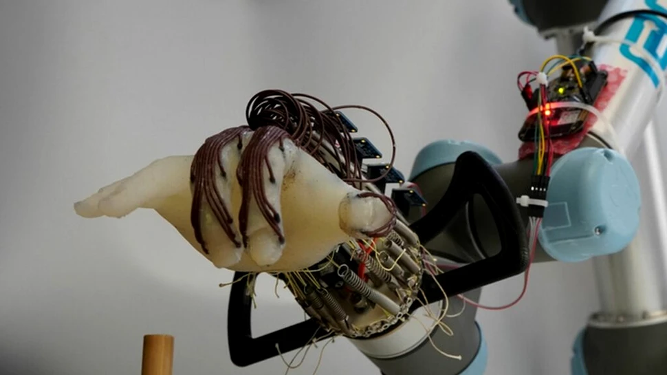 Cercetătorii au proiectat o mână robotică care poate prinde diverse obiecte
