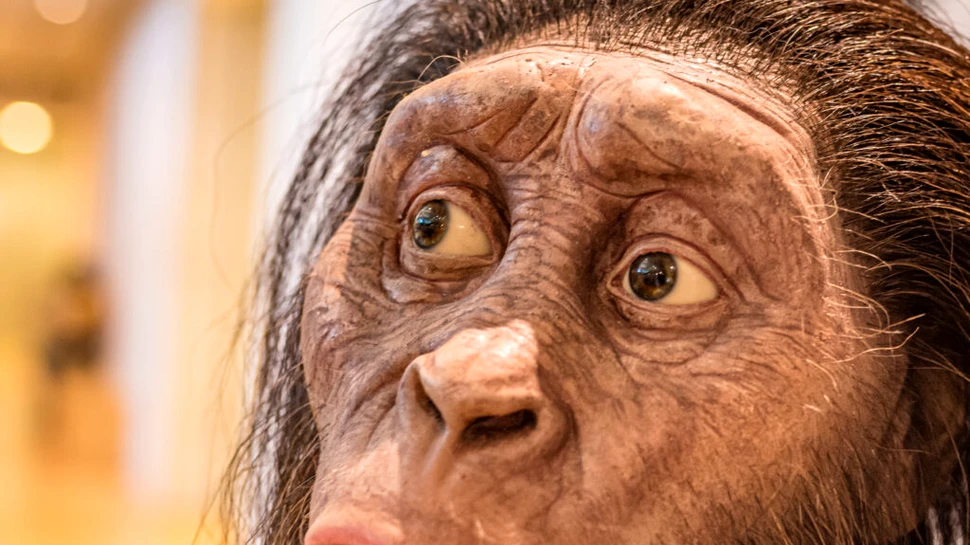 De ce oamenii nu au blană?