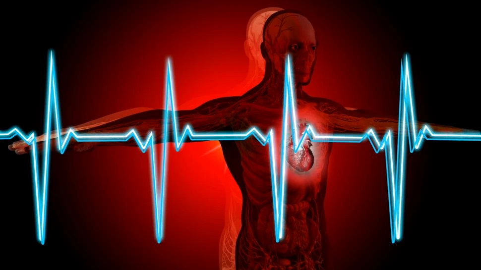 Transplantarea unei gene comune la centenari ar putea „întineri” inima