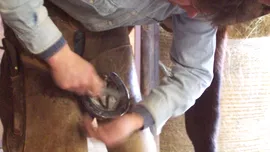 Test de cultură generală. De ce se spune că potcoavele aduc noroc?