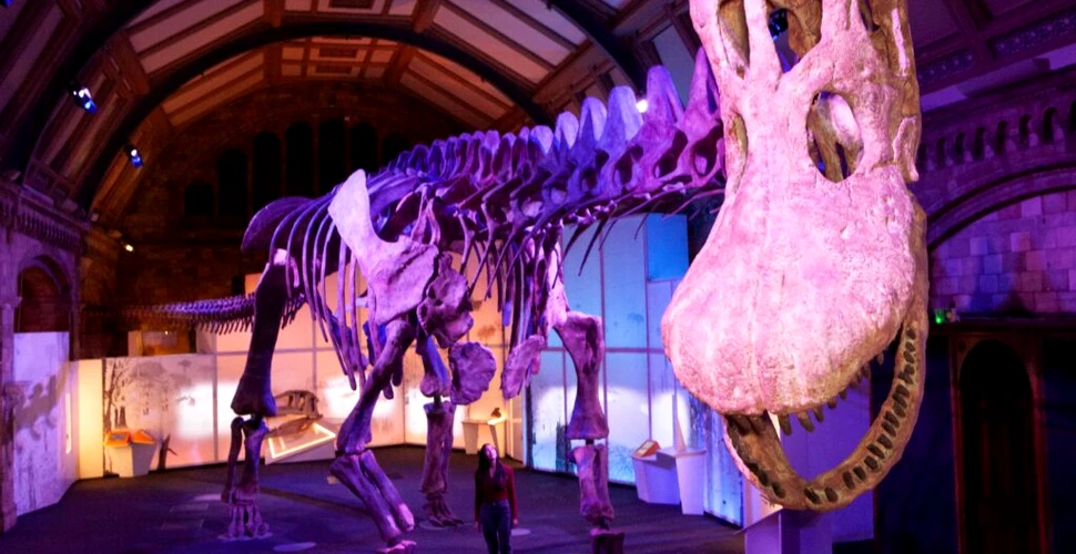 Unul dintre cei mai mari dinozauri de pe Pământ a ajuns pentru prima dată în Europa