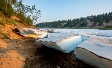Un exemplar dintr-o specie demult dispărută, descoperit în permafrostul siberian