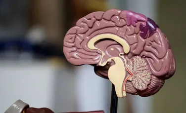 O nouă metodă de conectare a creierului la computer: Primele teste au fost încheiate cu succes