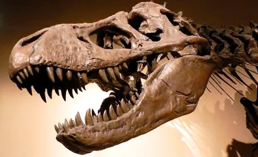 T. rex  era amator de pui