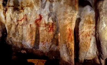 Au fost descoperite cele mai vechi picturi rupestre, iar acestea nu au fost realizate de oameni