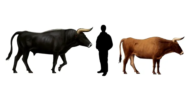 Reproducerea la scală a unui taur şi vaci de bour comparativ cu talia unui om din zilele noastre