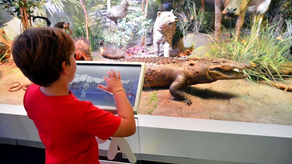 Ziua Mondială a Animalelor, sărbătorită astăzi la Muzeul Antipa