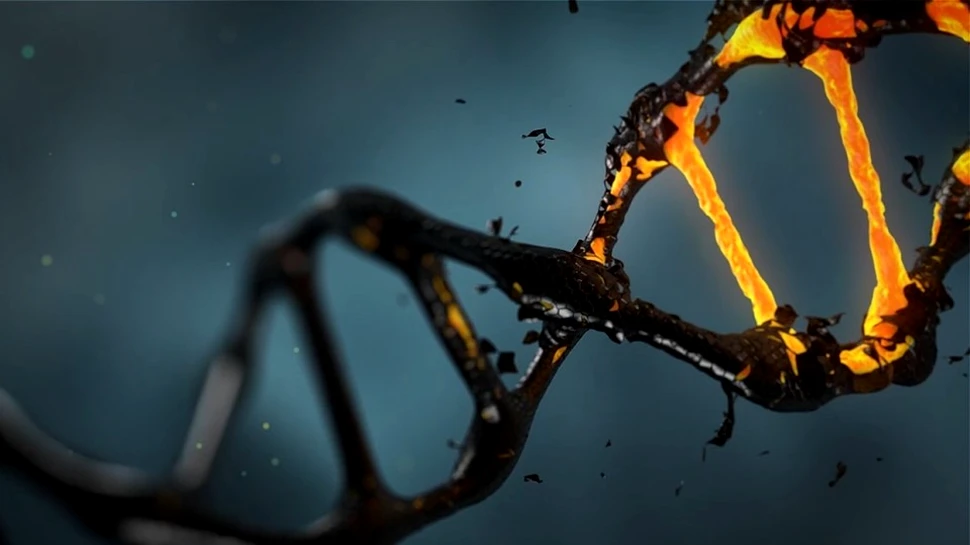 Am intrat într-o nouă eră a medicinei! Tehnica de editare genetică CRISPR va fi folosită anul acesta pentru tratarea bolnavilor de cancer
