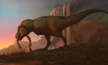 Un studiu contestă afirmația controversată că Tyrannosaurus rex era, de fapt, trei specii diferite