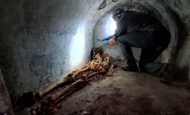 O mumie extraordinar de bine conservată, descoperită la Pompeii. Care este povestea sa