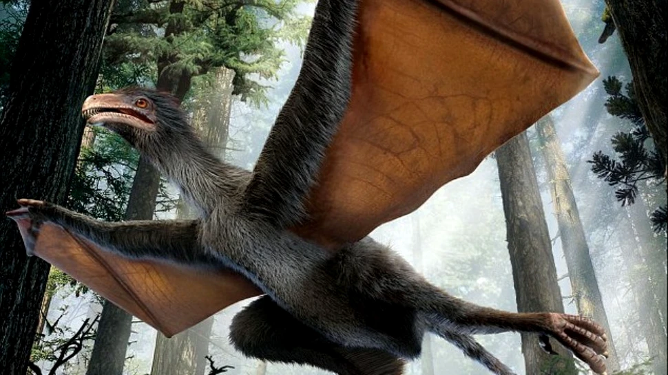 Un fermier din China a descoperit un dinozaur-liliac – VIDEO