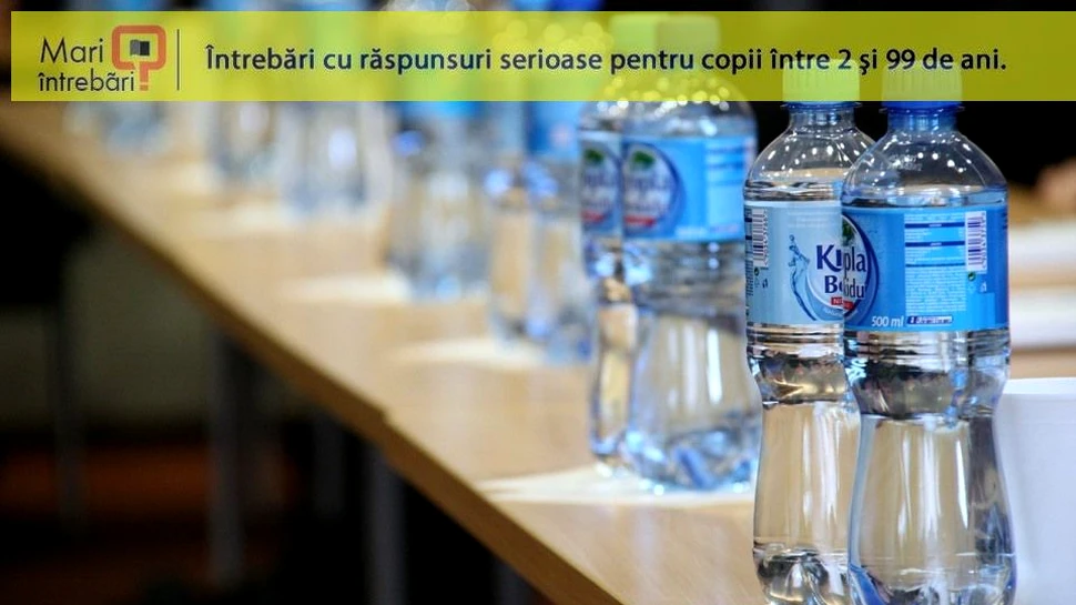 Cât timp se pot folosi recipientele din plastic?