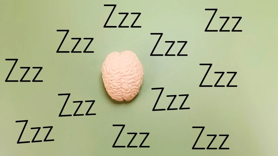 Știința somnului: de ce dormim prost și ce putem face altfel