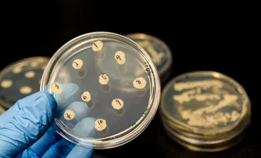 Conflictele din Irak au dus la creșterea rezistenței la antibiotice