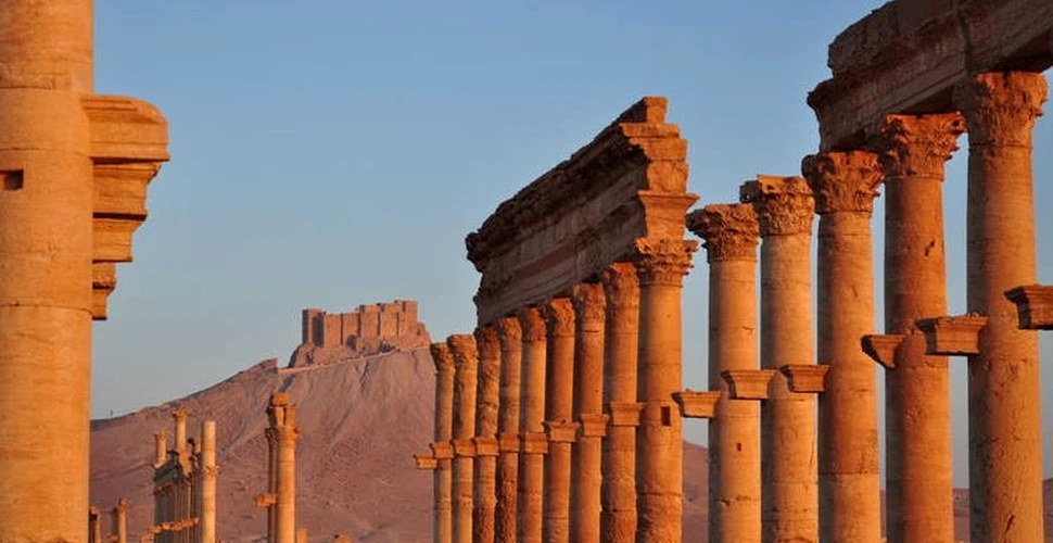 Un reputat arheolog a fost decapitat de militanţi ai Statului Islamic (SI). Trupul a fost agăţat de una dintre coloanele antice din Palmira