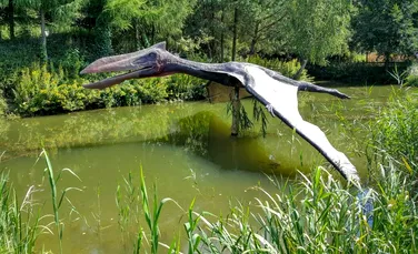 ”Dragonul de fier”, pterozaurul care vâna peştii din râurile şi lacurile din Cretacic