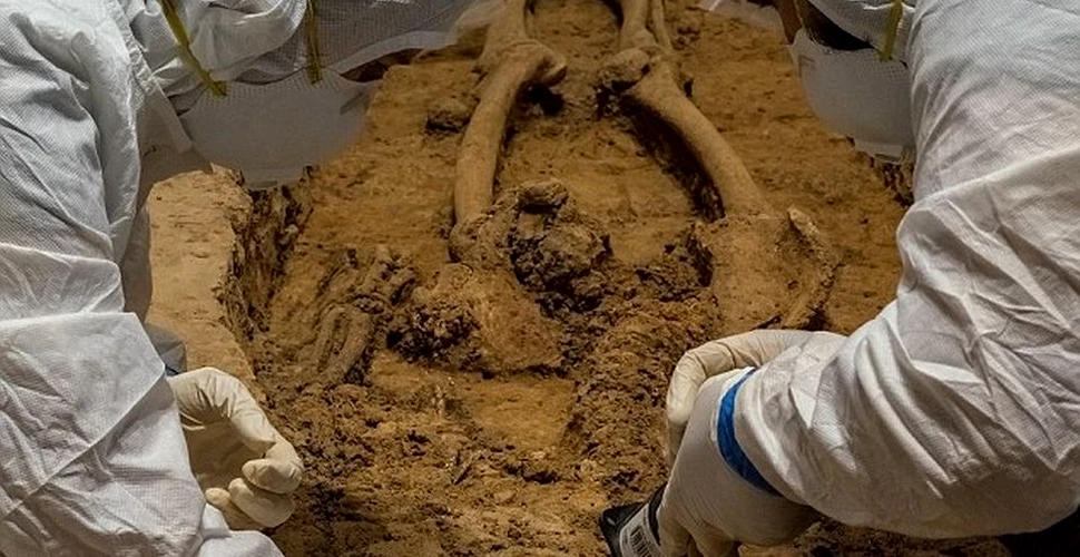 Un schelet decapitat, descoperit recent, ar putea aparţine primului politician din SUA care a deţinut sclavi