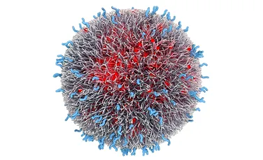 Primul medicament cu nanoparticule este folosit cu succes contra cancerului