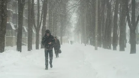 Legătura ciudată dintre mediu și vocabular, dezvăluită prin studiul a 616 limbi
