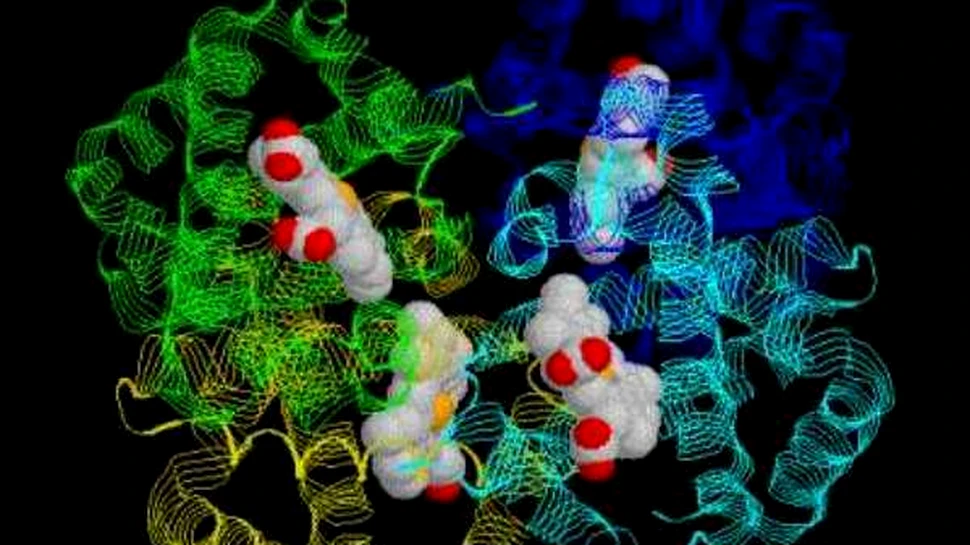 Este nemurirea posibila?