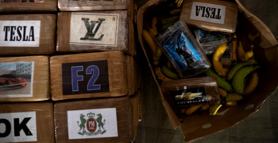 Captură record de cocaină în Spania, găsită printre cutii de banane