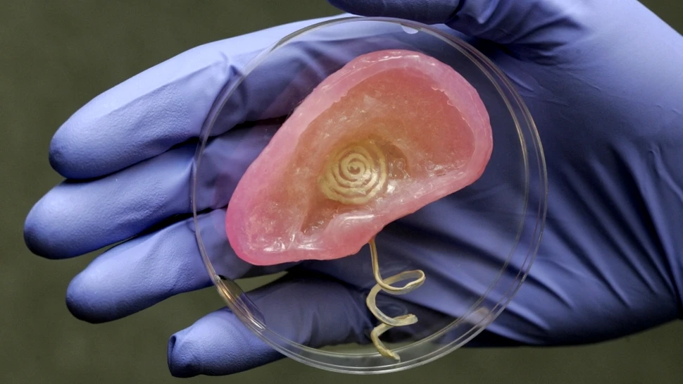 Urechea bionică: cea mai nouă invenţie care ne poate dărui super-auzul