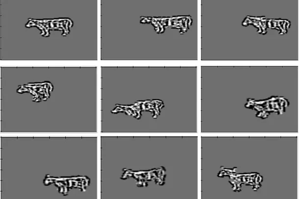 Aşa arată o vacă în „imaginaţia” unui computer